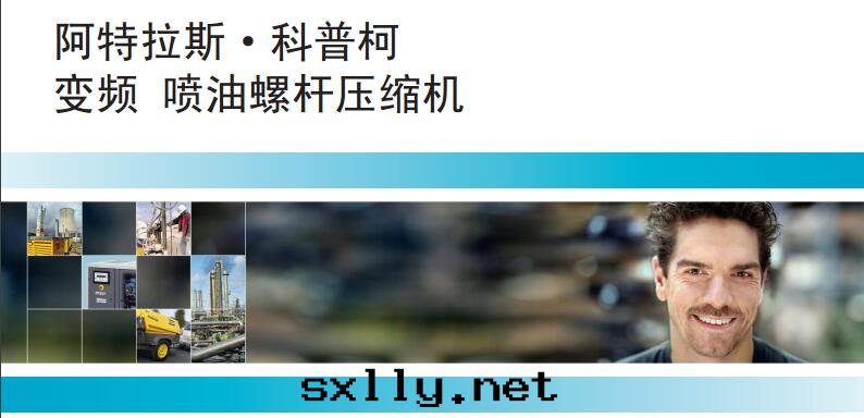 G 315 VSD: 噴油(yóu)螺杆壓缩機(jī)，300 kW / 402 hp