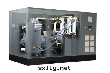 G315 VSD: 噴油(yóu)螺杆壓缩機(jī)，300 kW / 402 hp